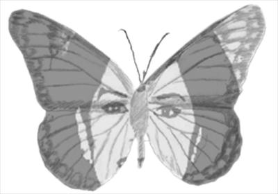 borboleta-espia