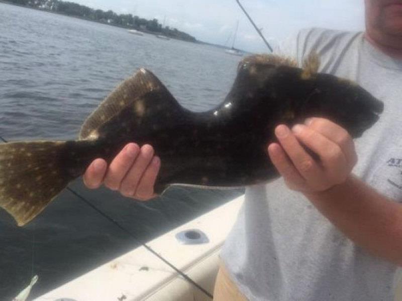 pescador-captura-peixe-com-enorme-mordida-cicatrizada
