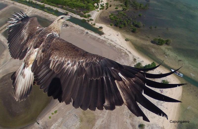 as-melhores-fotos-tiradas-por-drones-em-2014