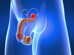 Novos remédios contra o câncer de próstata novos-remedios-contra-o-cancer-de-prostata