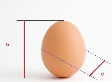 como-se-forma-um-grande-matematico---joao-moreira-salles